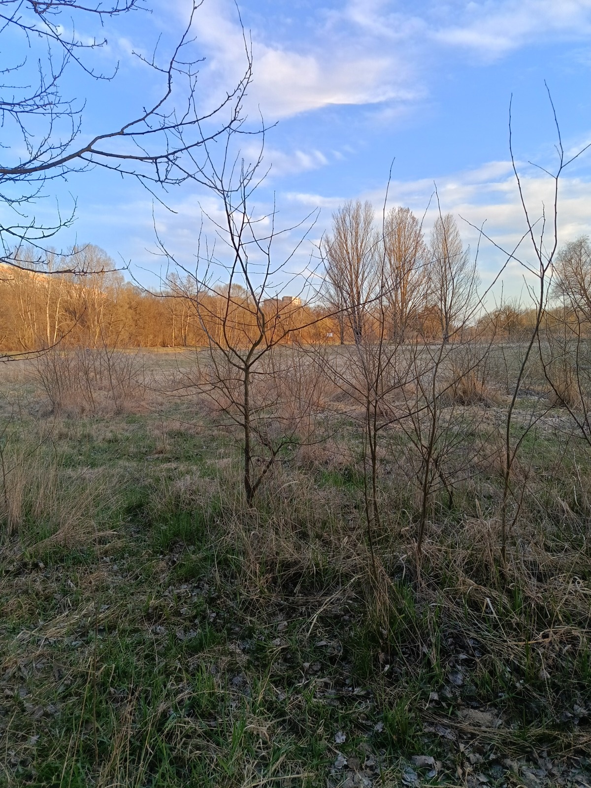 97d35266-986e-416a-a41f-333bb7e4240e