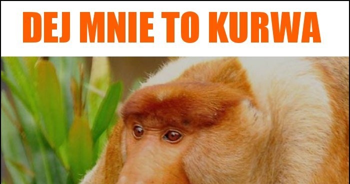 1e230d04-2865-4111-8d83-11af8cb1b5ef