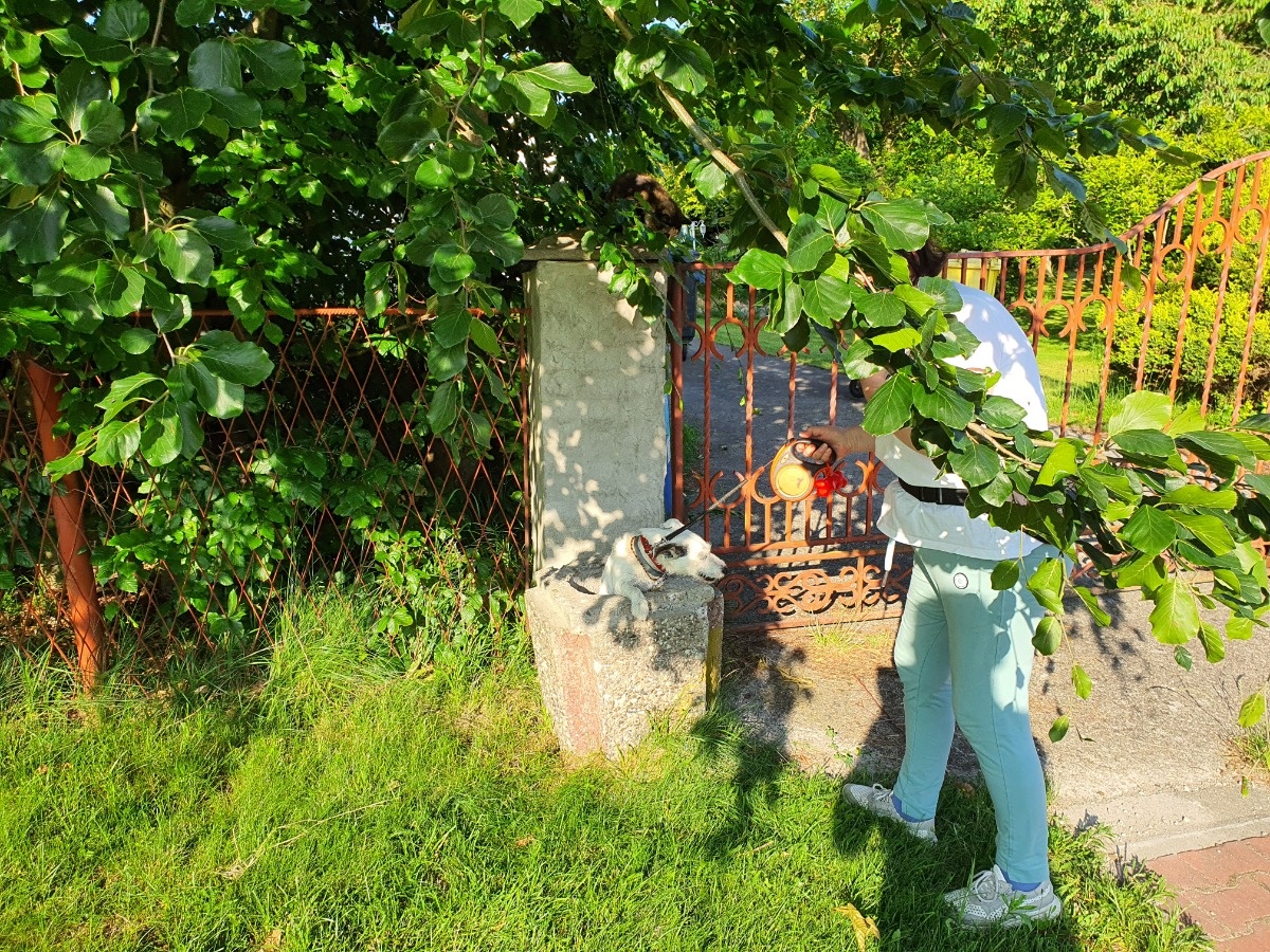 88ed6498-7db9-4169-85e4-fd8a51a7cac9