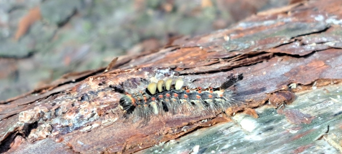 f3903252-fa6b-4baf-a8b7-593ba726a14c