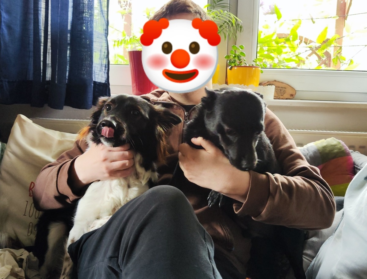 32b2ff83-24cc-41a8-9c04-a8a8a1a4c168