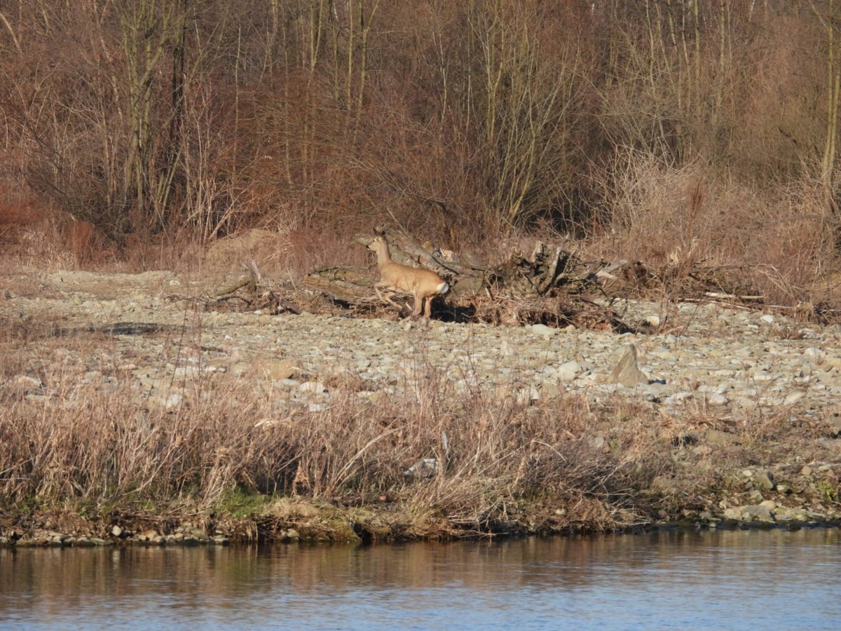 536eb57b-980b-483b-b85e-02f8e4988226