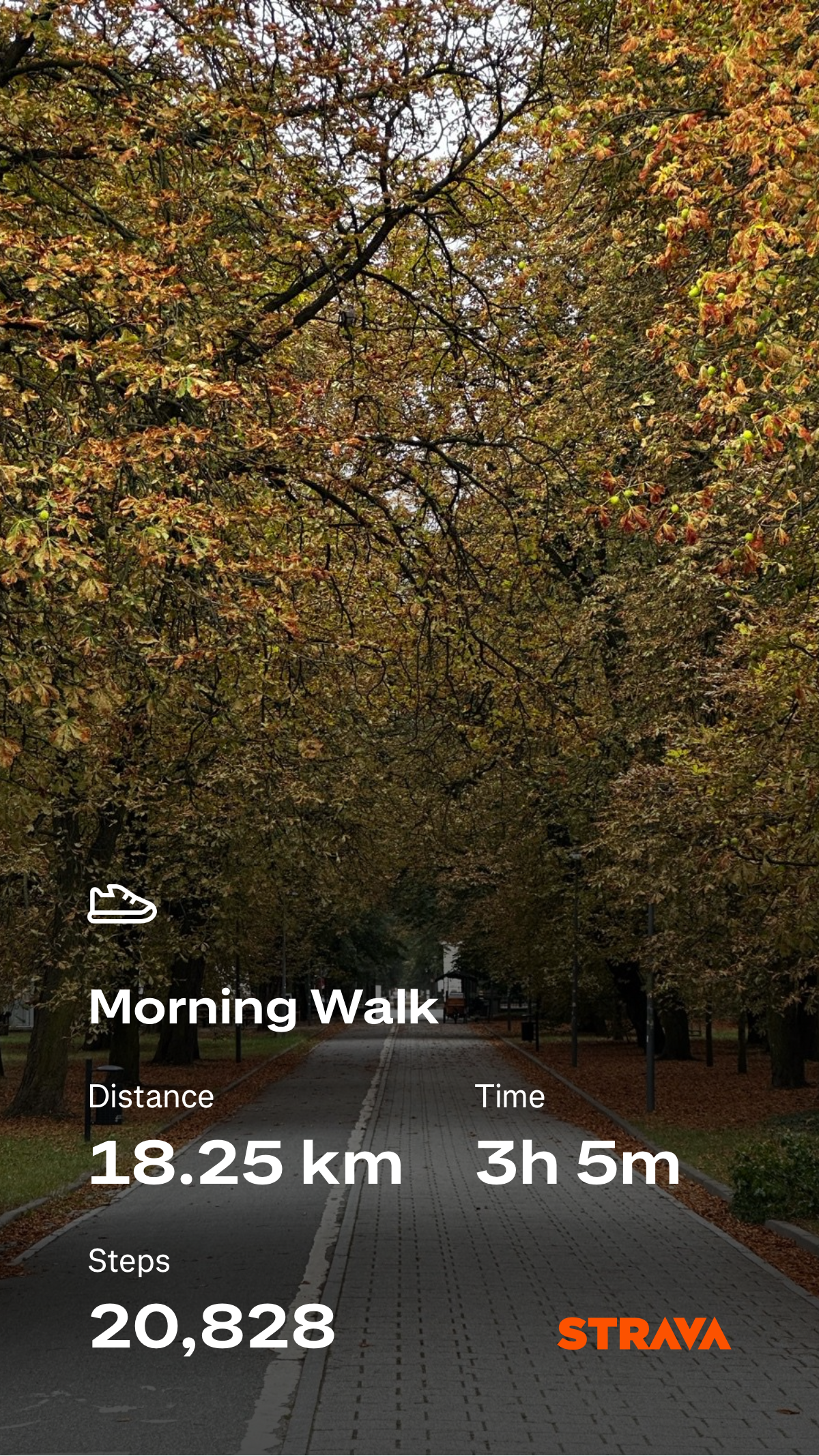 a5c3dd85-0735-4c30-9cb3-c203c5cf8347