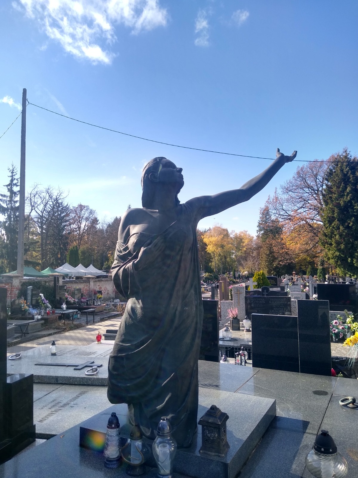 337b70f3-902b-47b2-93dd-d2a6a7cf4b61