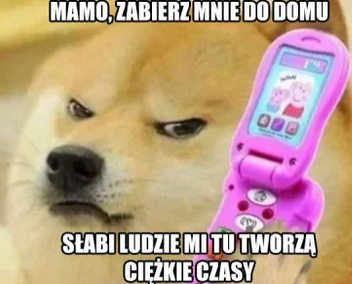 065ccce1-6f3b-4484-a92a-9245025efe7a