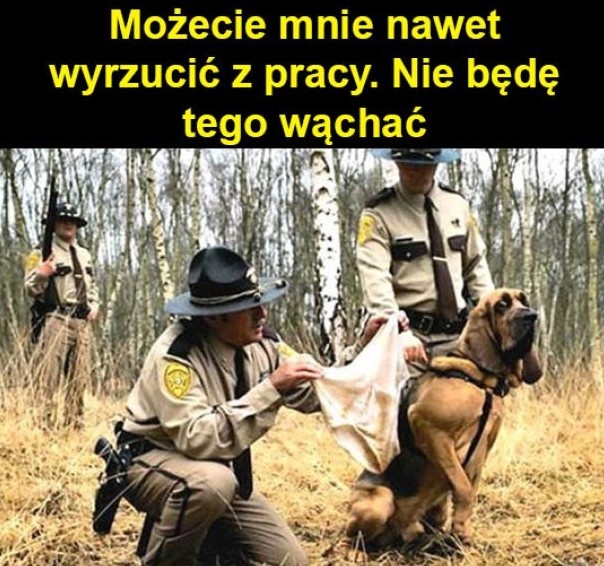 bc0da2f0-aaab-4da8-ac16-e7028f880dc0