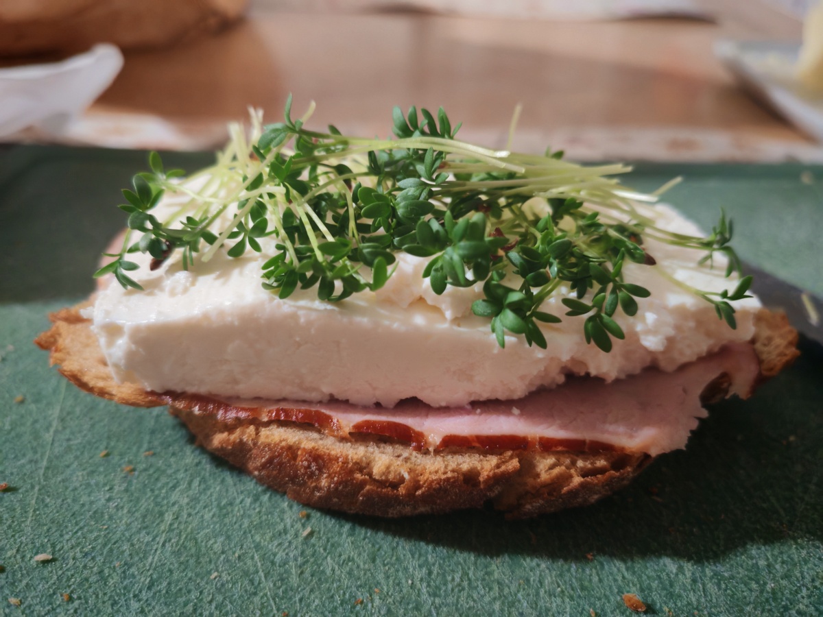 0a45146a-0c85-4de2-b6c1-9d669151842b