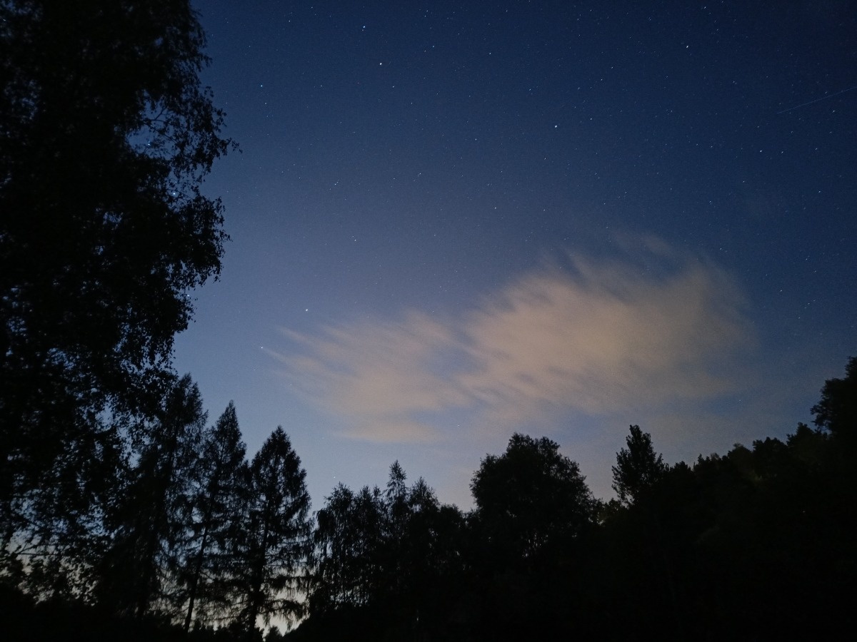 d49cb6cb-8990-45cc-80c4-5eb9d60528cb