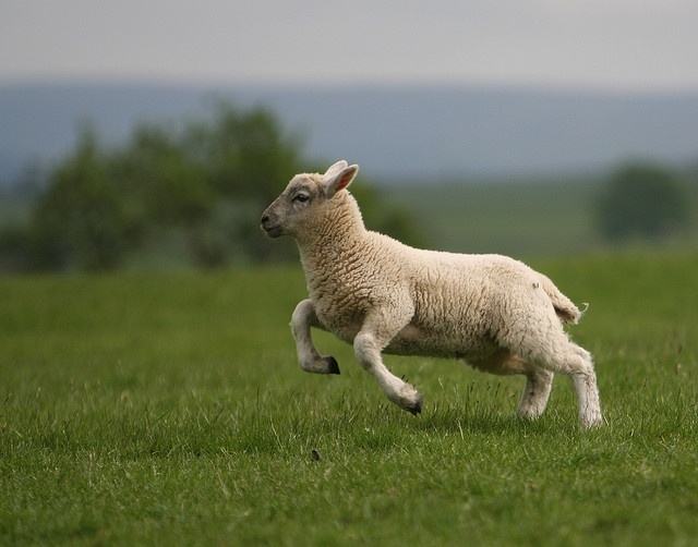 9c273b27-753d-43d8-b975-042f5a230519