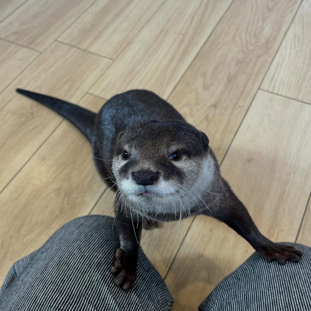 f41689e6-b44f-4970-b827-5c12dfd565bb