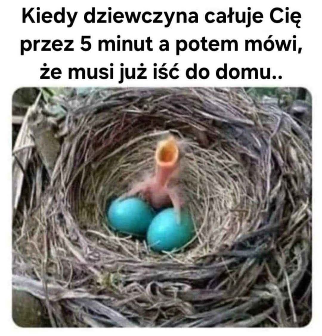 5914bf0b-80d7-4cd2-bad5-ca2afd80eeb4