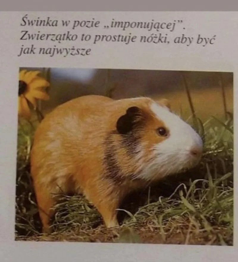 f18445ee-f227-4df2-bc1a-d632564095a0