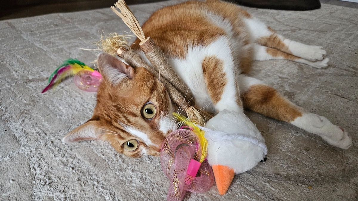 1a289b5a-5716-4542-8ab8-f1fbad33f62f