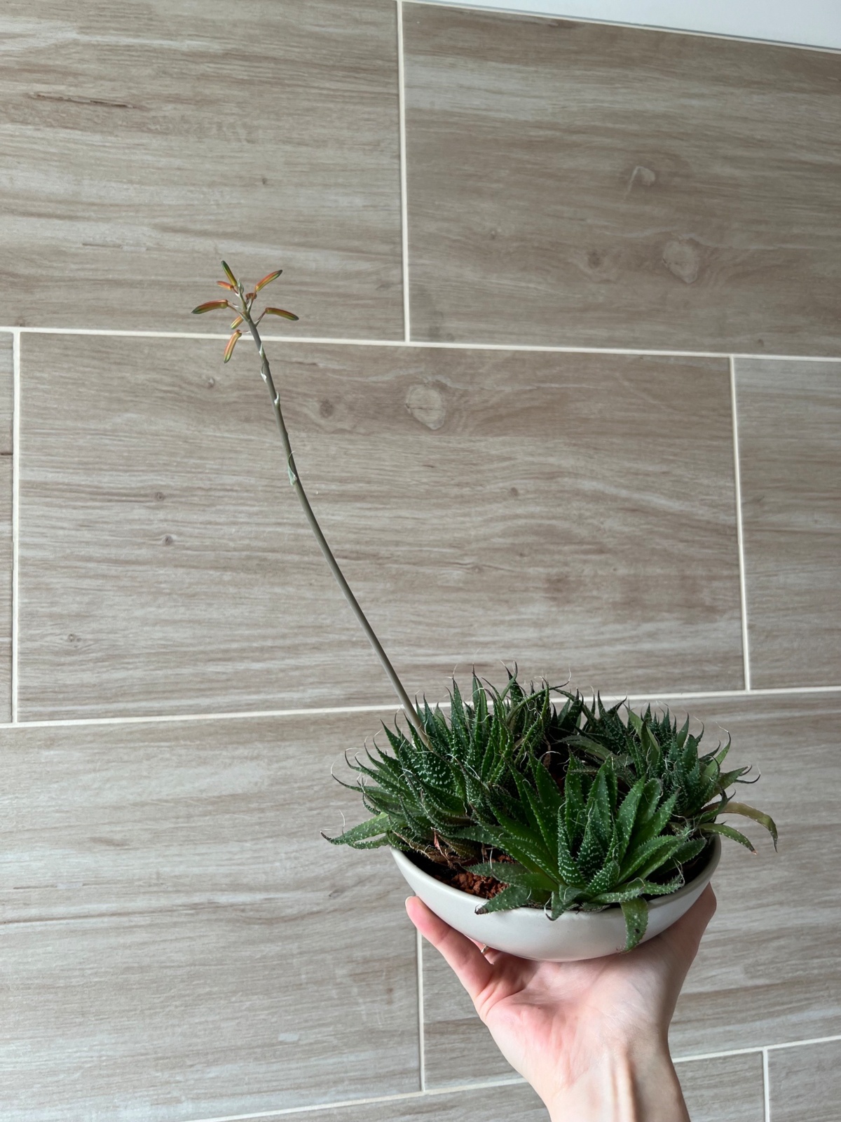 ce96defa-5c22-49c8-ab9a-3c4f8dddfe57