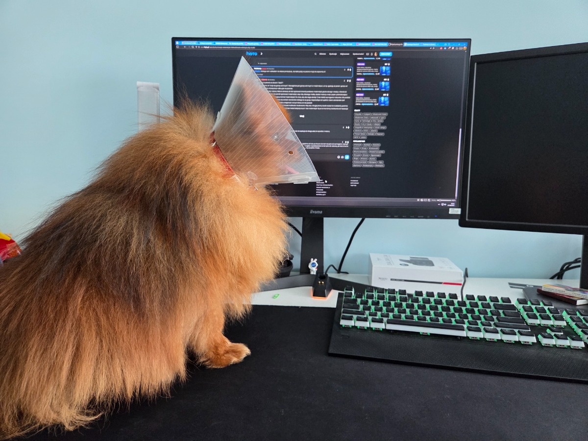 6480121b-bf7c-45f1-a7f9-814cc3ff362f