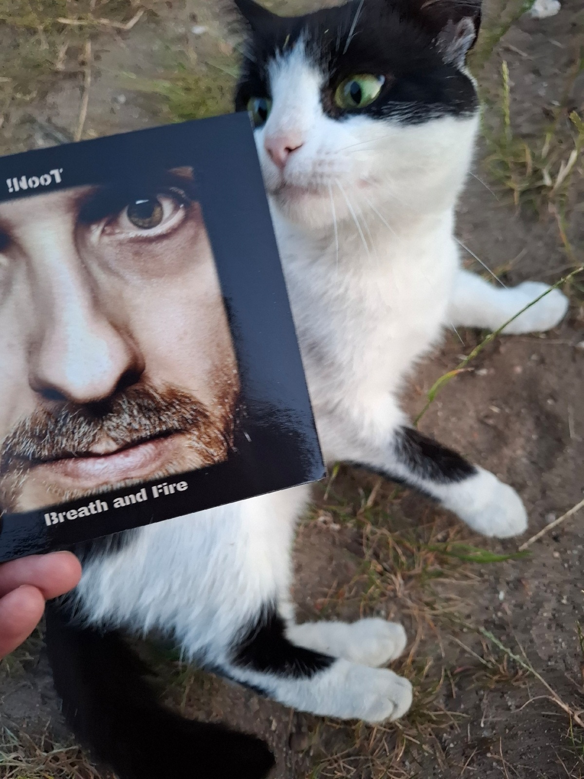 3e63f0d1-d89b-4a86-a801-11e707619346