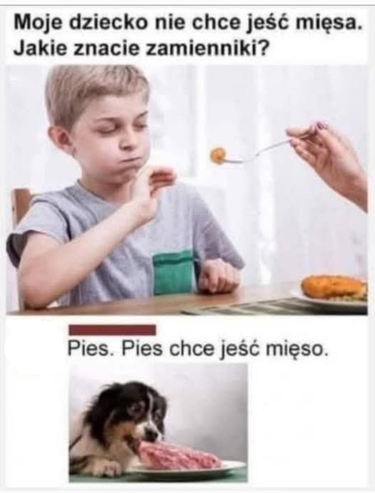 38fa9569-c248-4dd4-a9b5-47b15cd545f2