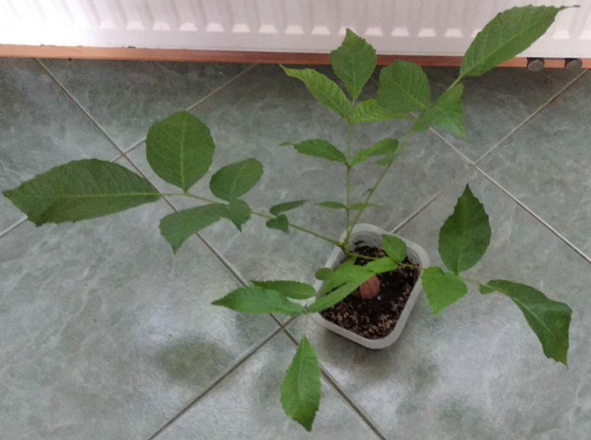 2f0ce995-4e21-4969-a6bd-c5909ad79140