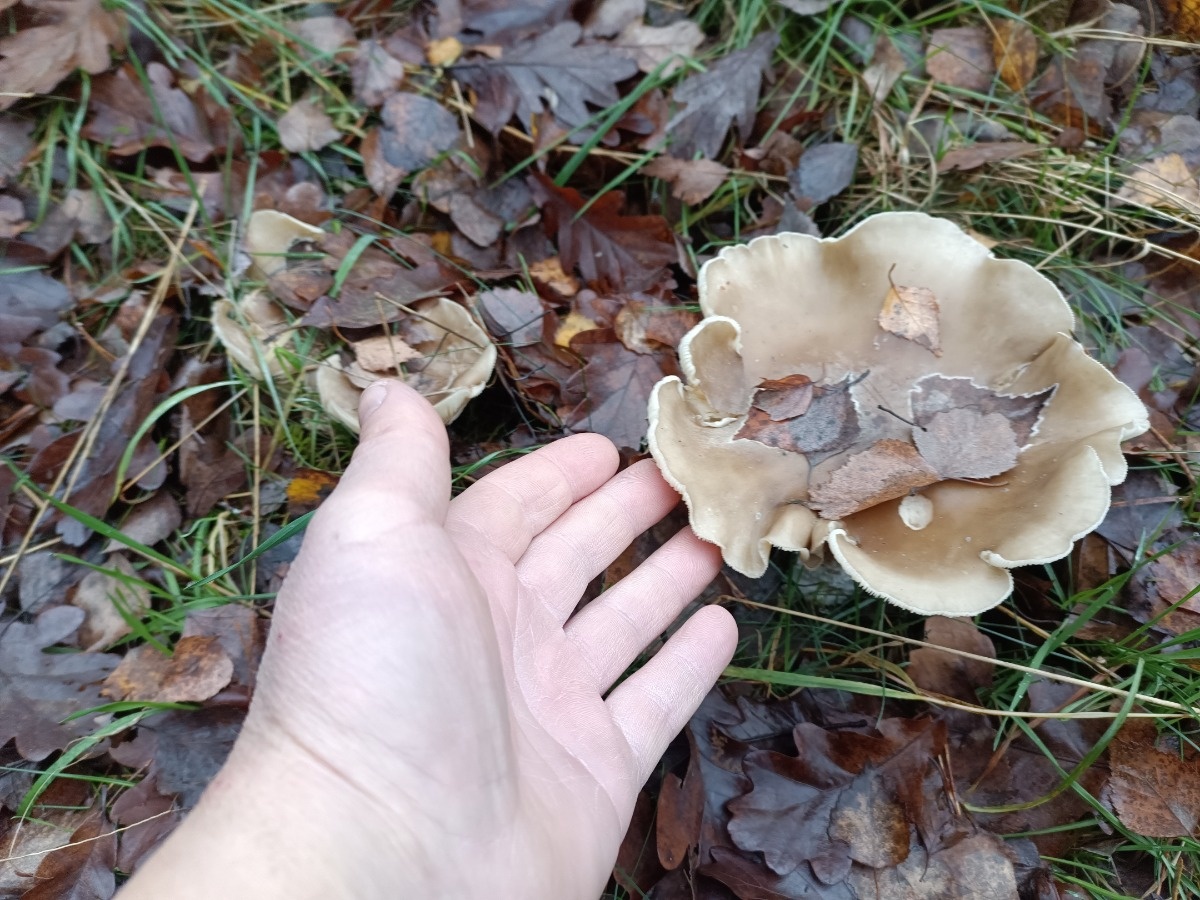 a92c7828-4ca2-4565-b80a-c2e48d24a8f5