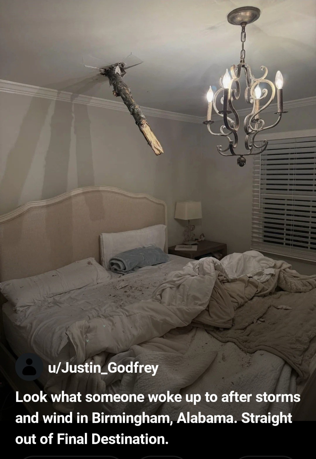 a4227b54-10fd-44d5-a022-177d6e873eed