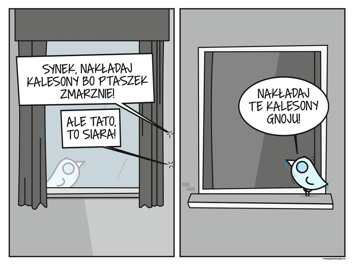 d0840605-cc45-4b3e-82ca-1f97c06ea251