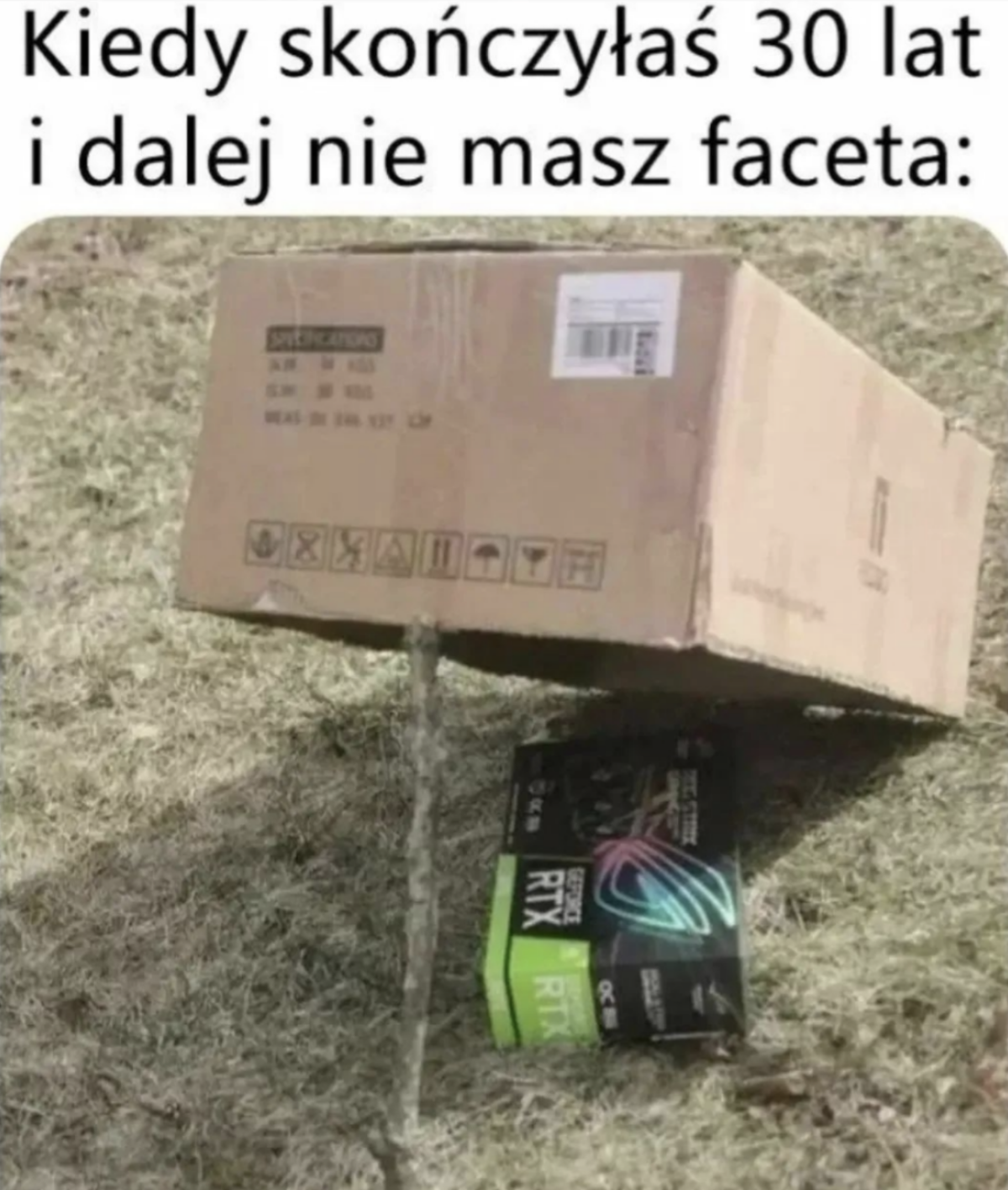 ad1b24eb-f42b-439b-8a25-8ca5401e863b