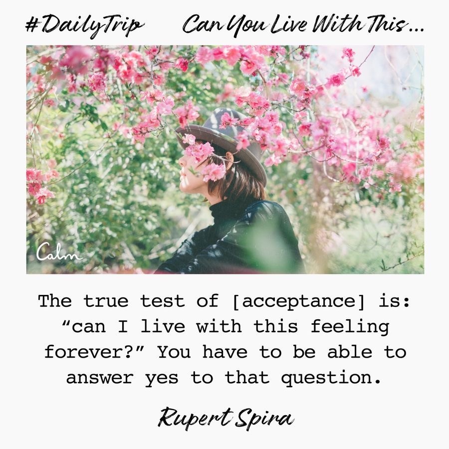 c5179774-0a05-46f7-83ca-bee743bd22cc