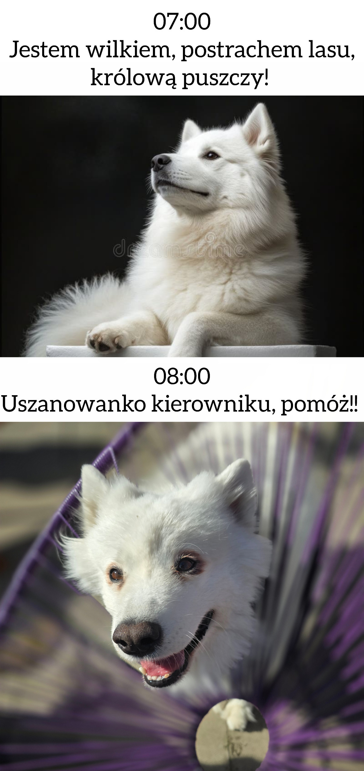 7e5fdf42-50f5-4548-8198-88e38683e123