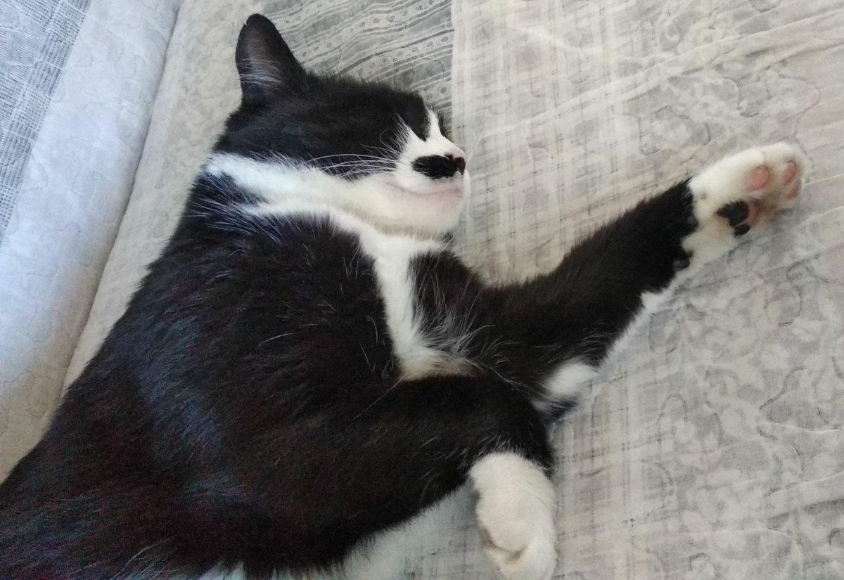 4372a960-c798-4dae-a00c-94db3a0ac2e8