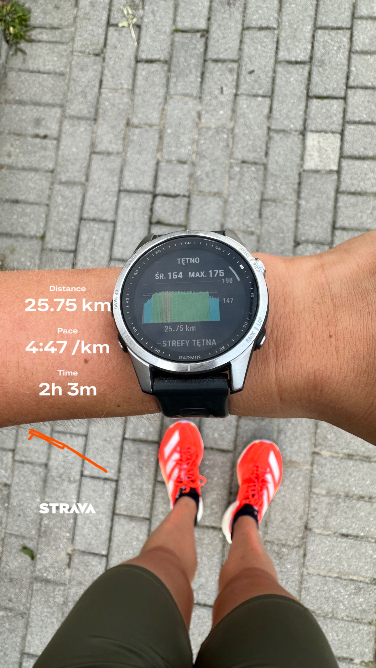 871e77d8-4d06-43d3-a154-cd0273556552