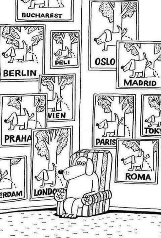 424c8579-f310-4988-b57c-5e21ac0dec55