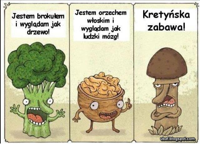 b8b51da4-7cc7-426f-9d6f-c2bbef9035da