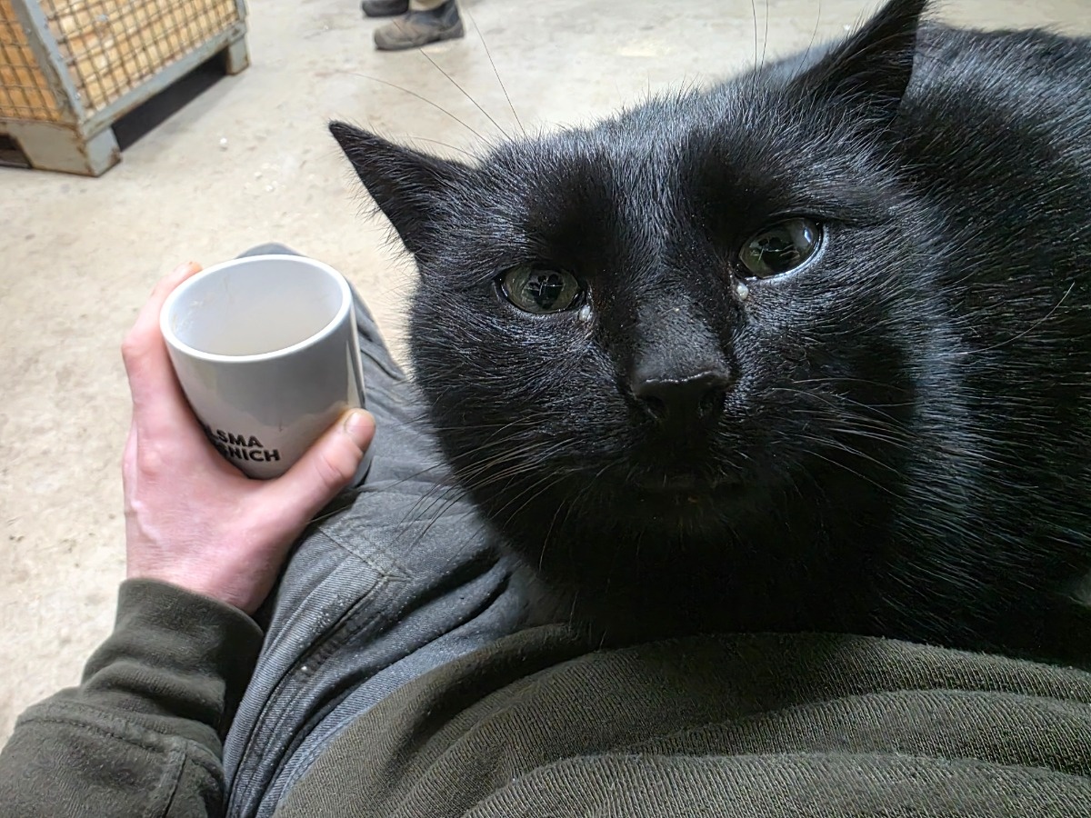 feea3e44-3981-4651-b7ef-1127da39a082