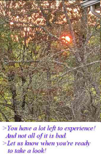 eae1e9e4-1845-4f4b-b88a-5b975a20671b