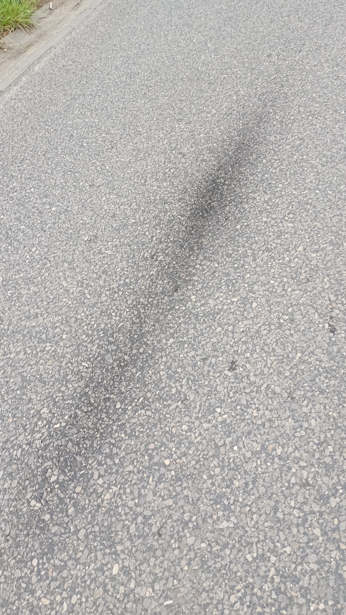 b5a47215-63be-4d8d-b7b3-db284c53abbd