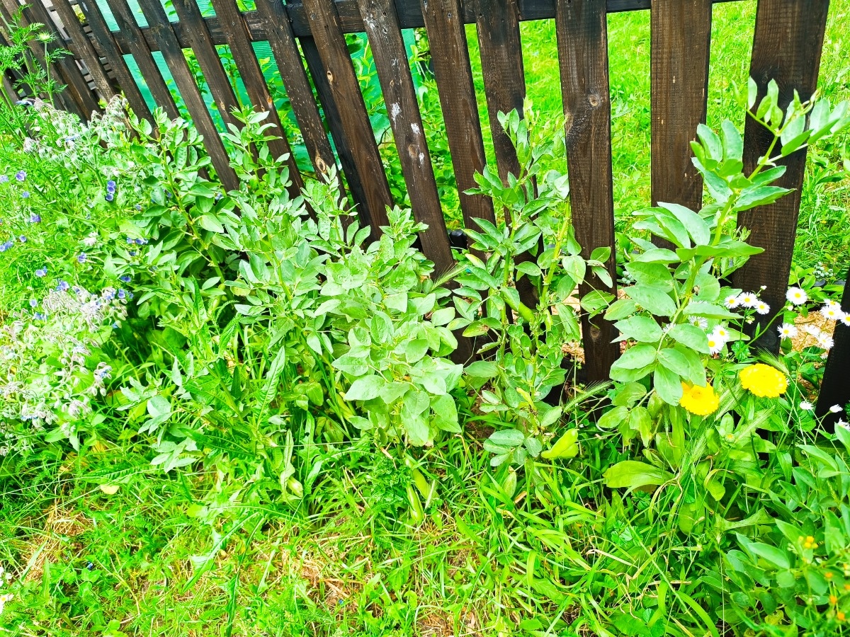 41558168-9427-46c6-9c7b-7d22382b577c