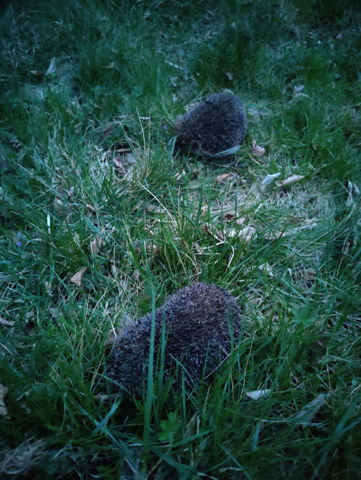 53e77460-0764-48e2-affd-7a1d3a06dfa8