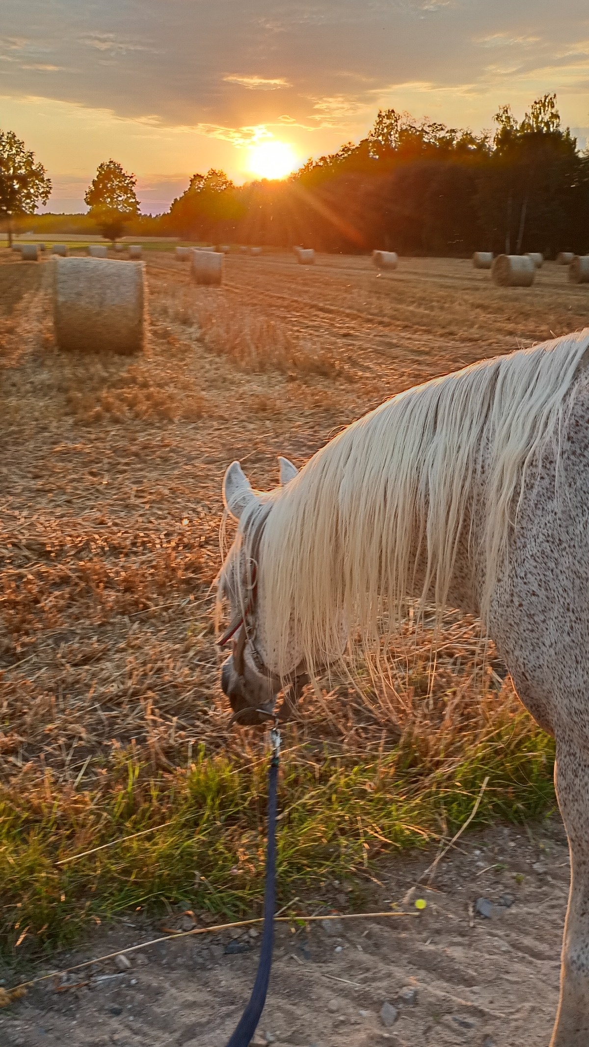 83b64b0f-686e-4e52-82c8-56d3417d2bc8