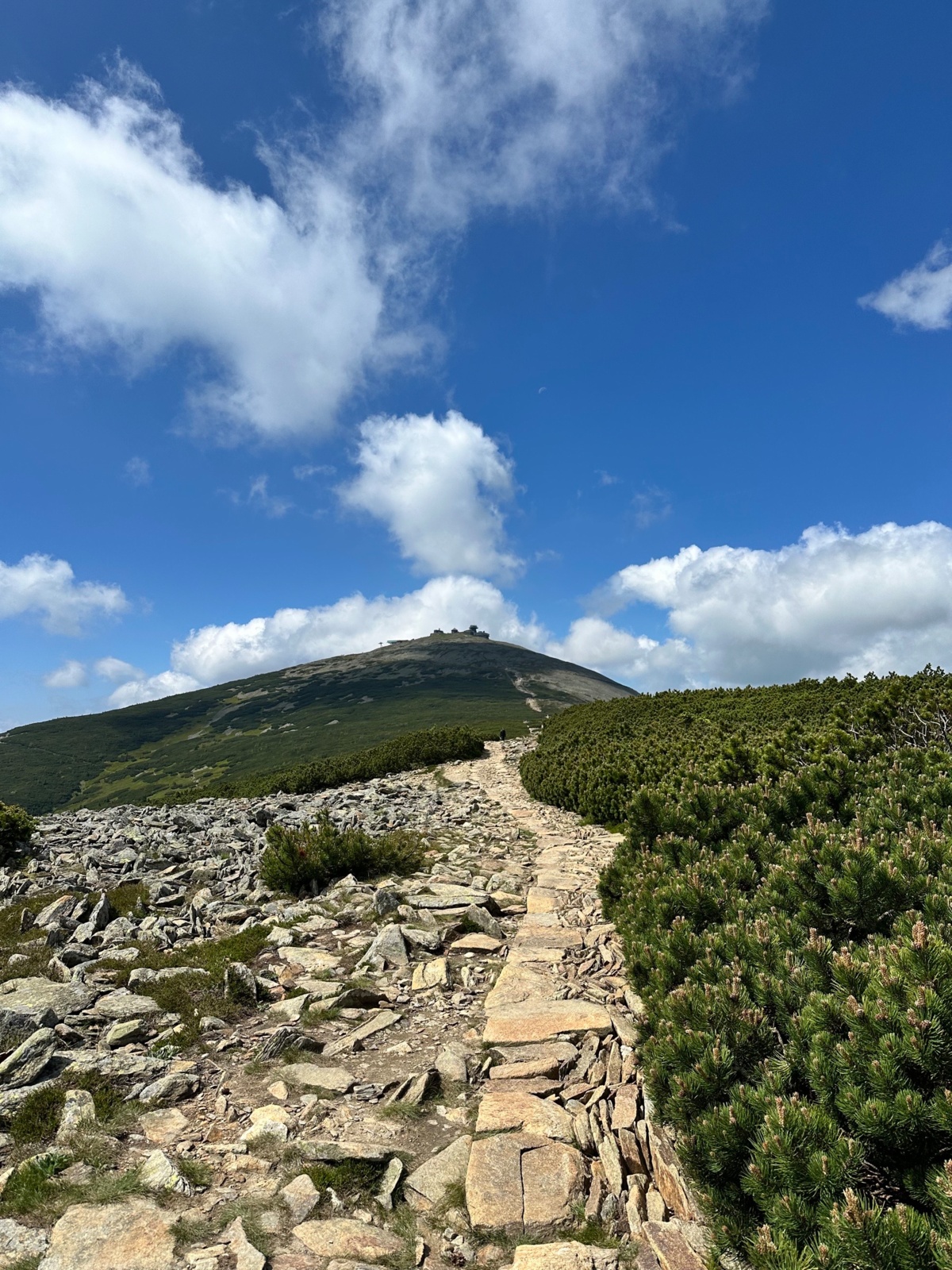 c3c58fb5-4863-4b0b-90cb-5573e3302e25