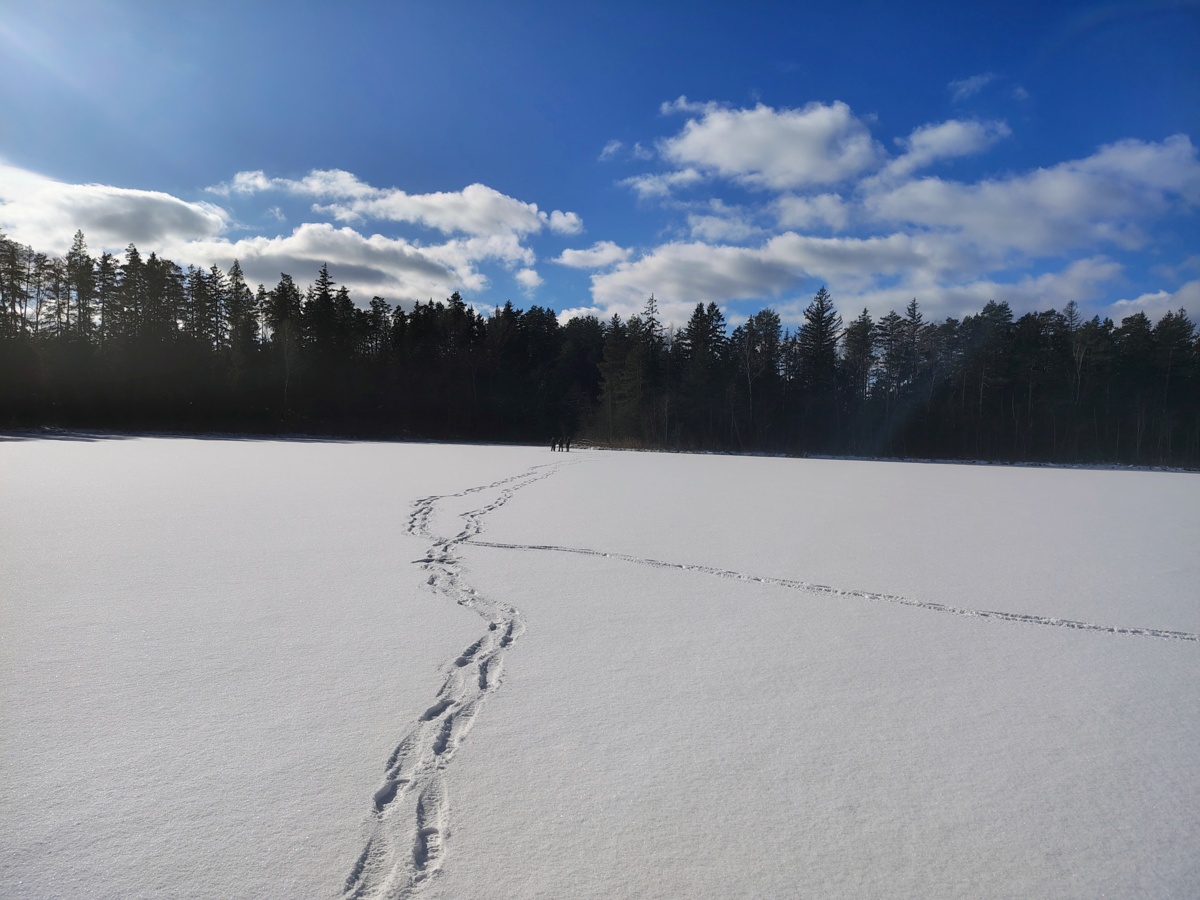 ada27c89-b478-4d44-976c-5d227369b88d