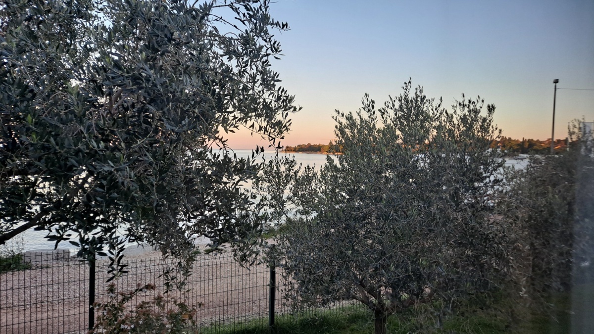 36ba4c45-b4d9-464a-9b77-b2d3662c18a9