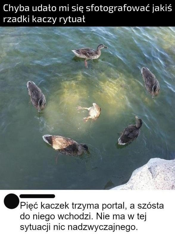 fd646a47-dd46-4ad7-b9a3-688cb4da6c36