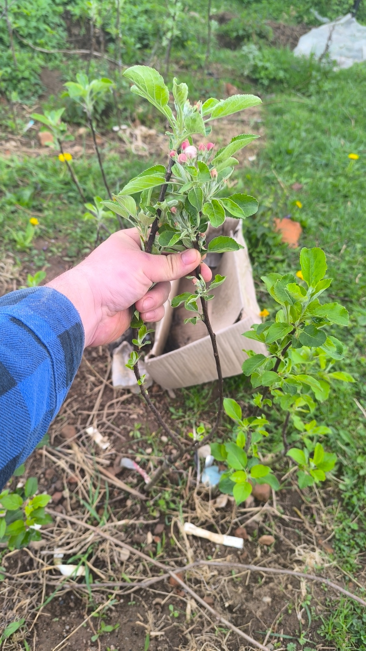 8a0a3a8b-be49-499e-839f-4eb672b0c0eb