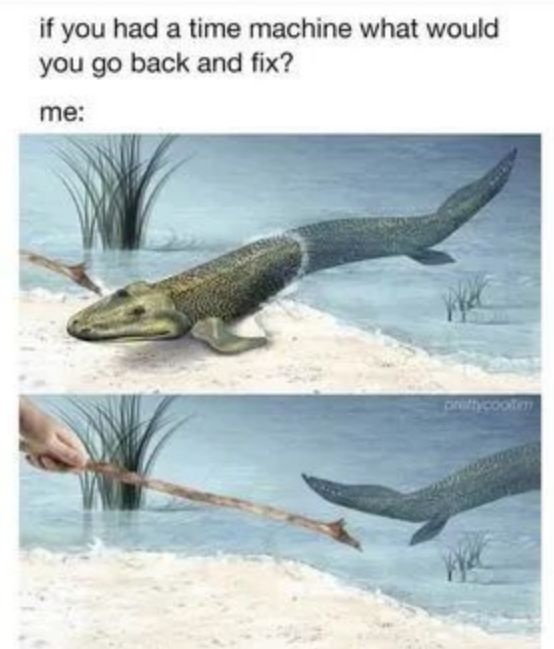 f525d46c-ecfe-4b26-ab78-c1bf573e2e24