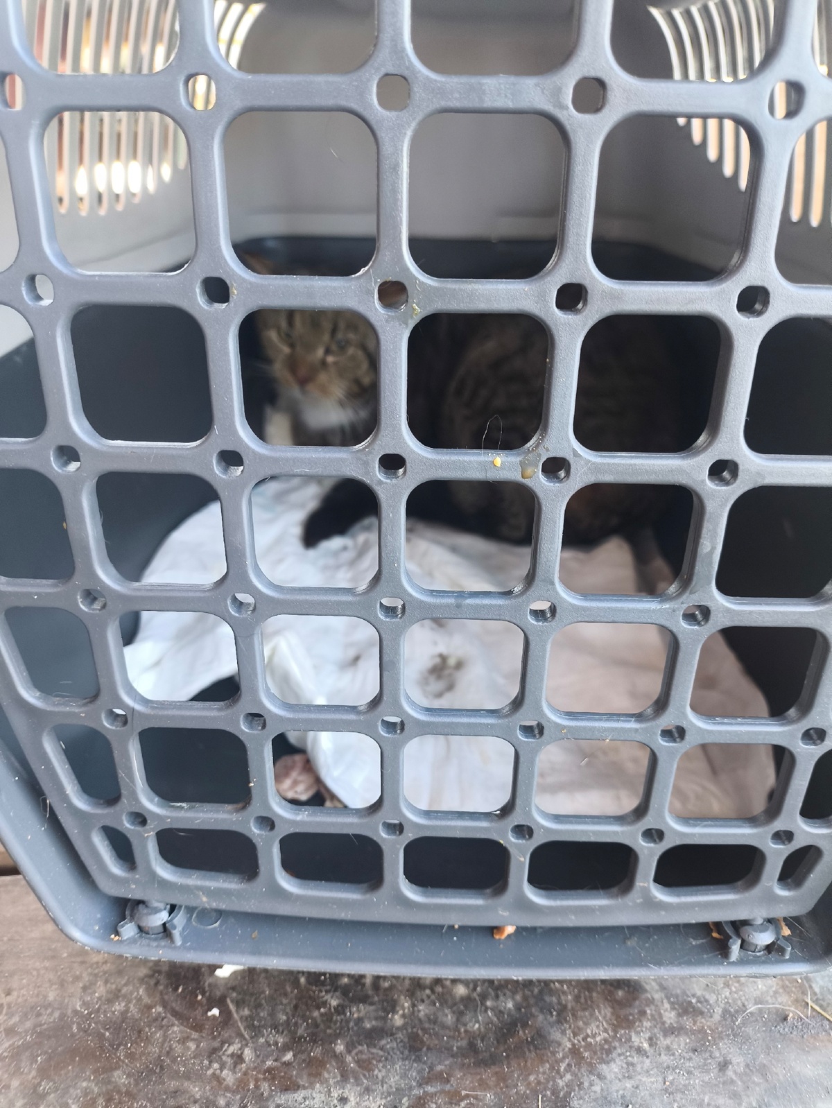 d29fa152-f7ee-4c2e-867d-76fe0ff81aad