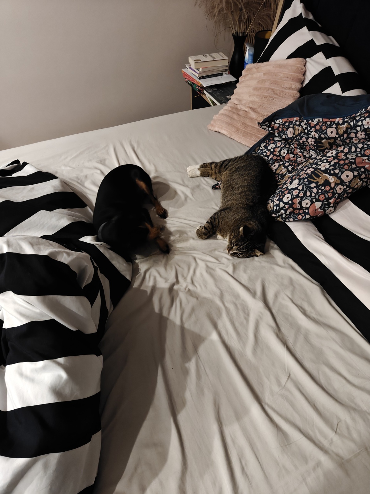 31604694-b41d-496d-a66c-30c9df6ebcb6