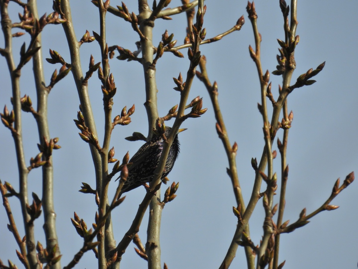 f6f9d98d-d019-4444-b14c-6f1ab5591746