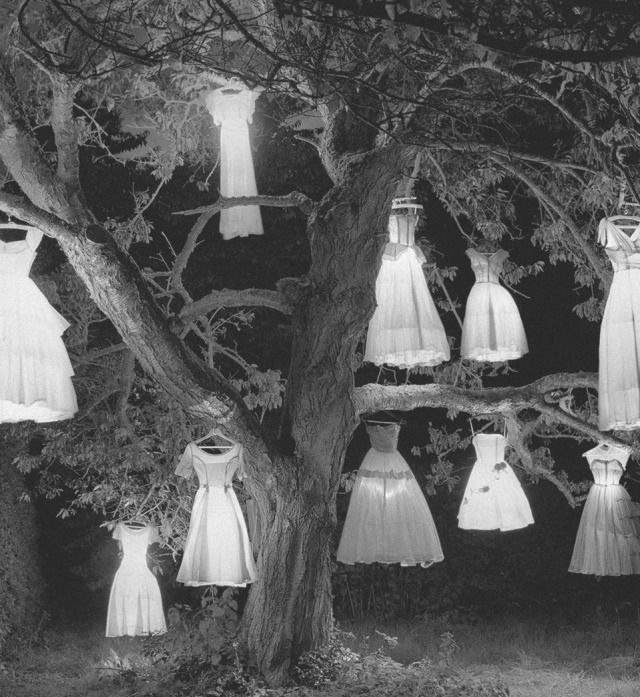 328e134d-3dad-4ee3-b417-86472656eedd