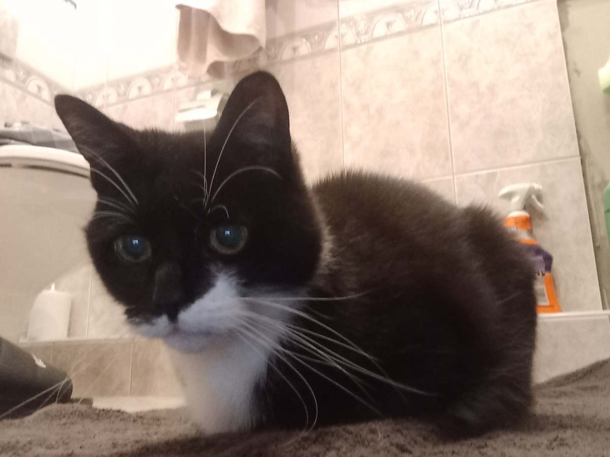 d2b9818b-76f2-4cb8-946e-93180d5664ba