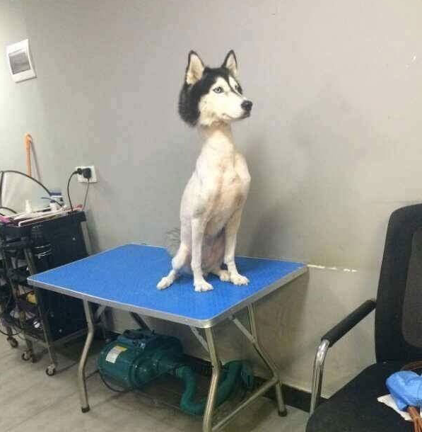 c0a9ed34-97d4-49d1-8a78-14bbdfe72b81